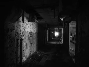 CELL 246