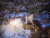 THE LEAVETAKING BY ANNA BLAUVELDT