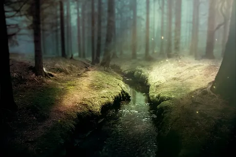 background-image-3497025.jpg