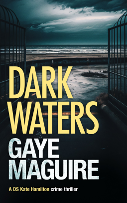 Dark Waters book cover