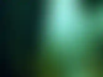 Into the Mist